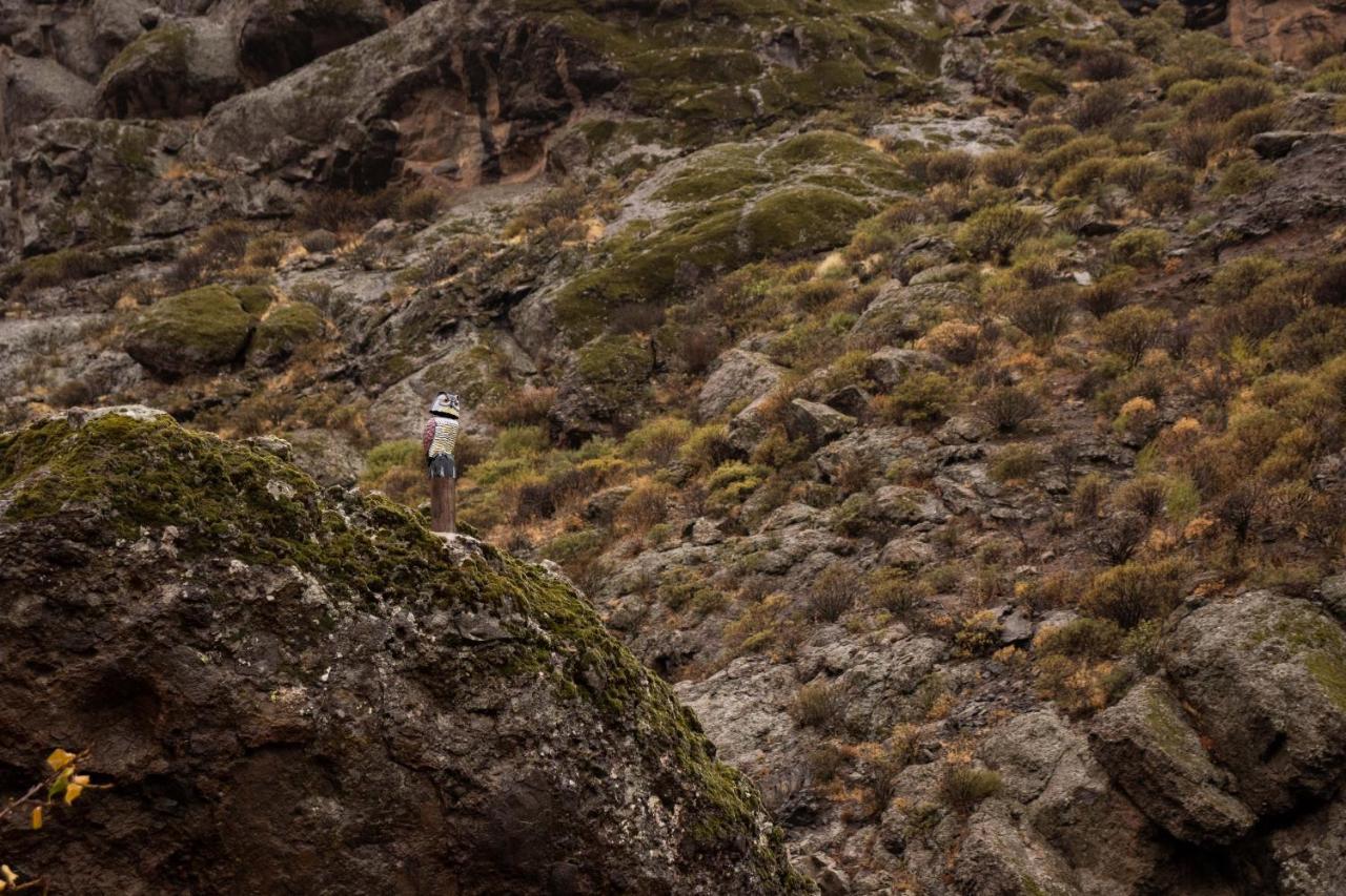 La Vuelta Del Amo Villa Las Palmas de Gran Canaria Eksteriør bilde