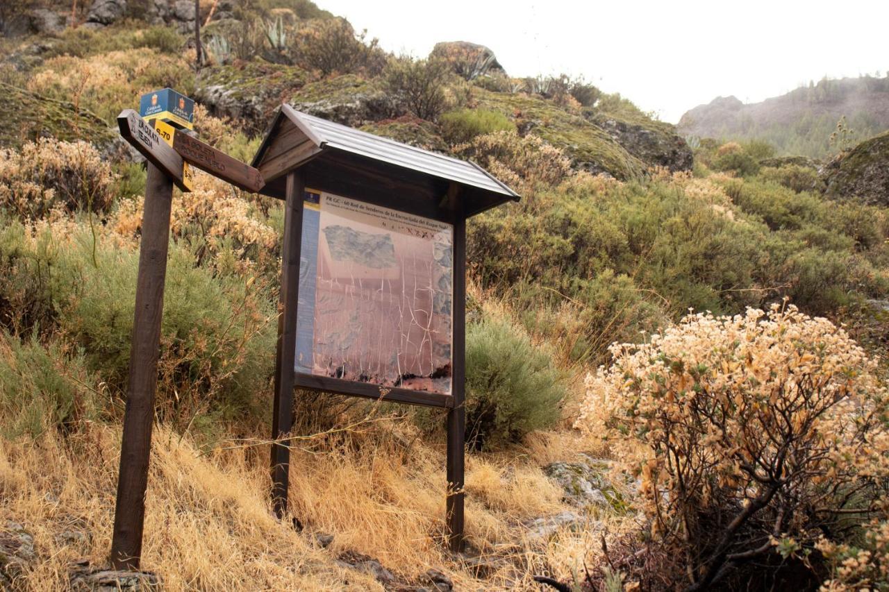 La Vuelta Del Amo Villa Las Palmas de Gran Canaria Eksteriør bilde